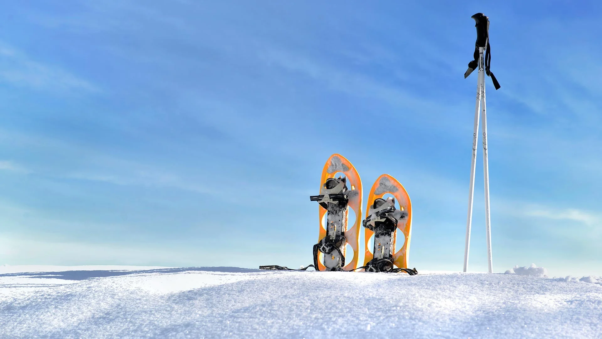 Ciaspolate tra le Dolomiti